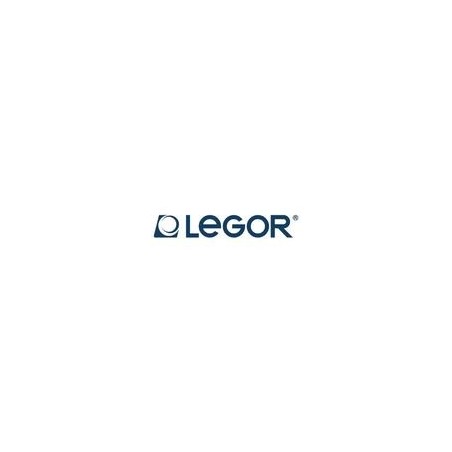Legor Group